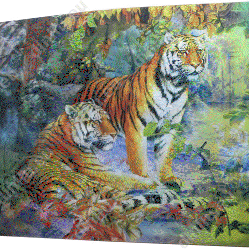 Lentikulardruck im individuellen Design 250x350mm image