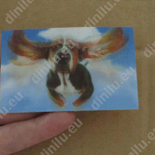 individueller Lentikulardruck mit Animationseffekt 54x86mm (Visitenkarte) individueller Lentikulardruck als Visitenkarte (54x86mm) image